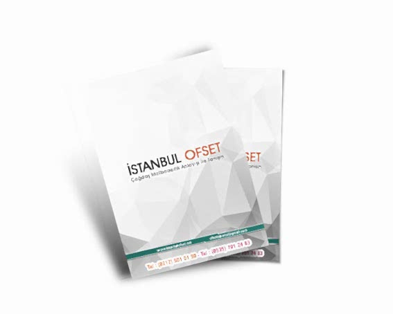 ERTESİ GÜN KARGO A4 Broşür 21 X 29,7 cm